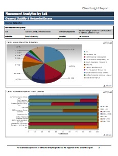 Client Insight Sample Report
